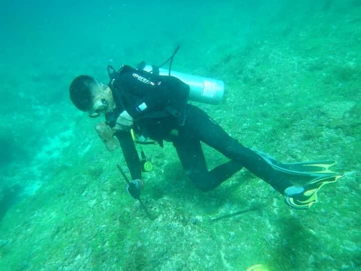 Quảng Ngãi: Rạn san hô vùng biển Lý Sơn bị suy giảm nghiêm trọng - Ảnh 2