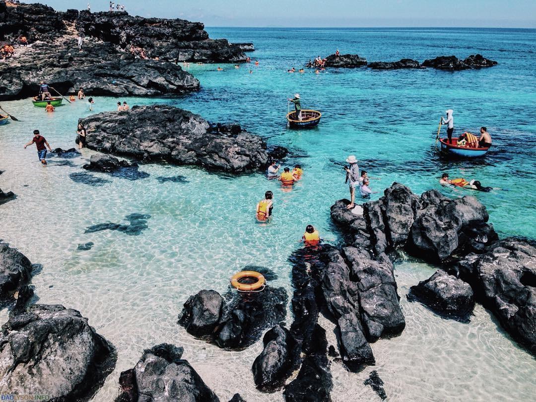 Quảng Ngãi: Rạn san hô vùng biển Lý Sơn bị suy giảm nghiêm trọng - Ảnh 3