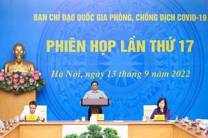 Thủ tướng: Không thể ngồi nhìn người dân ốm đau mà thiếu thuốc - Ảnh 1.