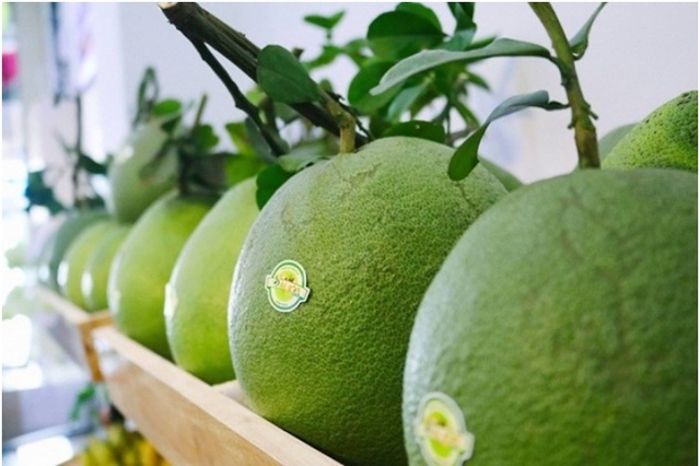 Công bố xuất khẩu lô bưởi đầu tiên của Việt Nam sang Hoa Kỳ - Ảnh 1.