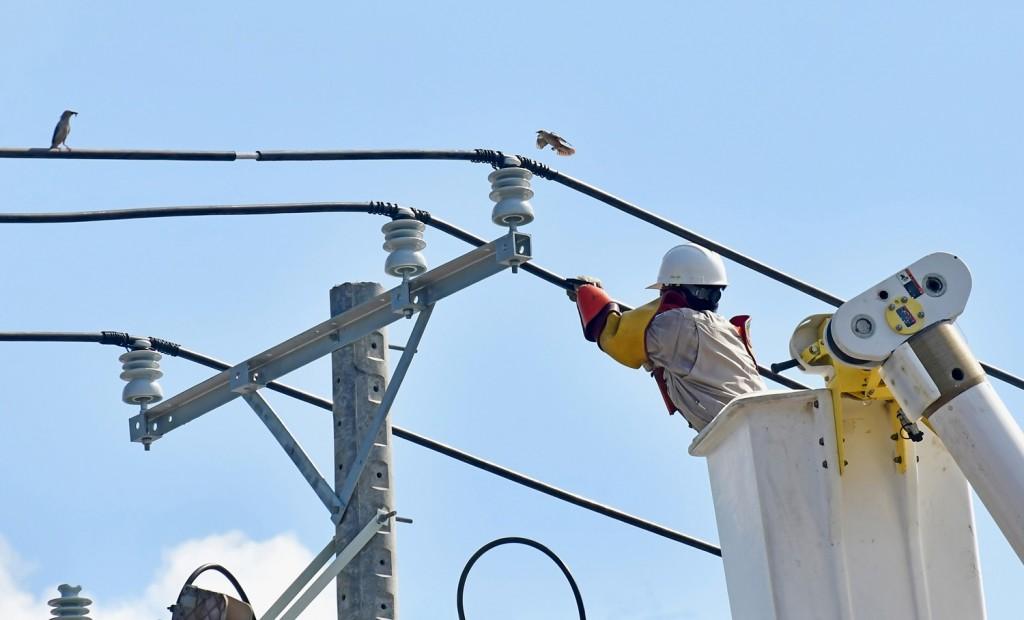 Điện lực miền Nam tiếp tục đẩy mạnh phong trào ‘10 nghìn sáng kiến’