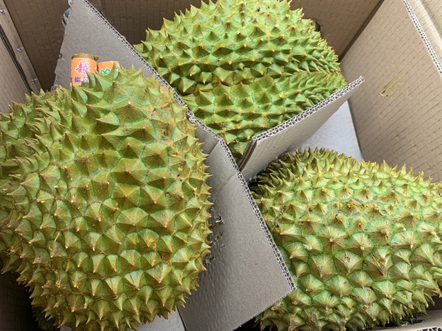 Trung Quốc đề nghị ký nghị định thư 7 loại trái cây Việt Nam đang xuất khẩu - ảnh 1