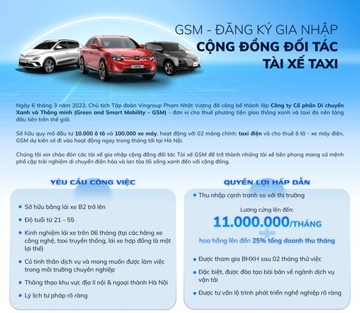 Công ty taxi điện của ông Phạm Nhật Vượng ồ ạt tuyển tài xế - Ảnh 1.