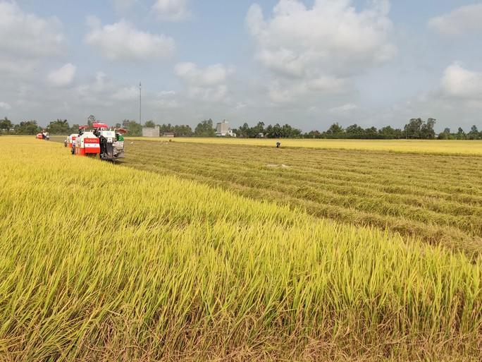 Xuất khẩu nông sản bền vững, cách nào? - Ảnh 2.