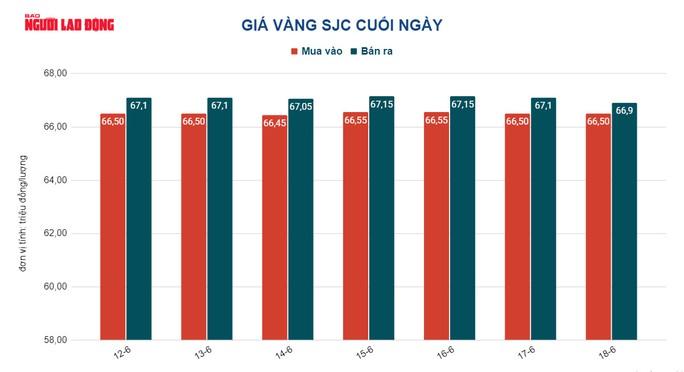 Giá vàng hôm nay 19-6: Cả vàng SJC lẫn vàng nhẫn đều giảm - Ảnh 3.