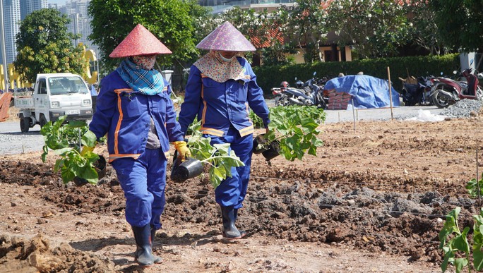 TP HCM khoác áo mới cho bờ Đông sông Sài Gòn - Ảnh 5.