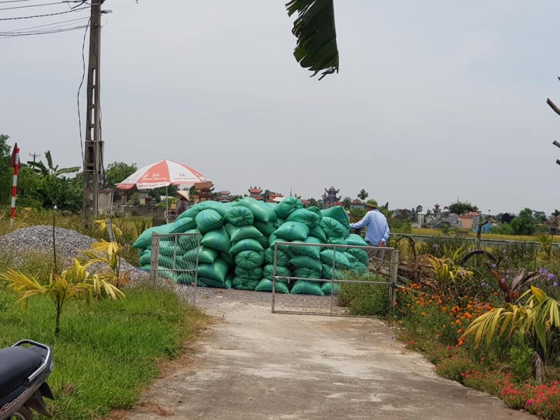 Giá lúa gạo hôm nay ngày 1/2: Giá gạo tăng 200 – 500 đồng/kg, nhiều kho mua hàng giao ra miền Bắc