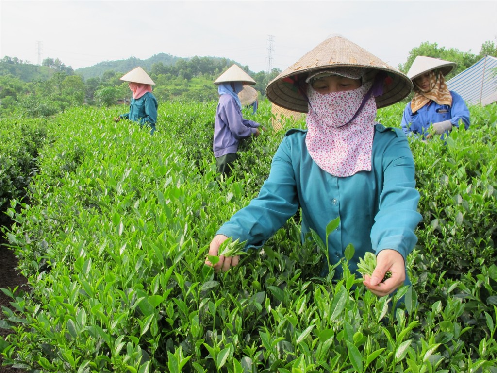 Tạo điều kiện thuận lợi cho kinh tế tập thể, hợp tác xã phát triển