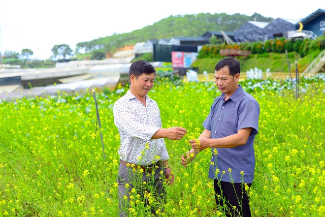 Tháo gỡ khó khăn cho du lịch canh nông Lâm Đồng- Ảnh 1.