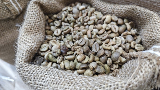 Giá cà phê hôm nay 28-11: Tăng "điên cuồng", phá vỡ mọi đỉnh lịch sử- Ảnh 1.