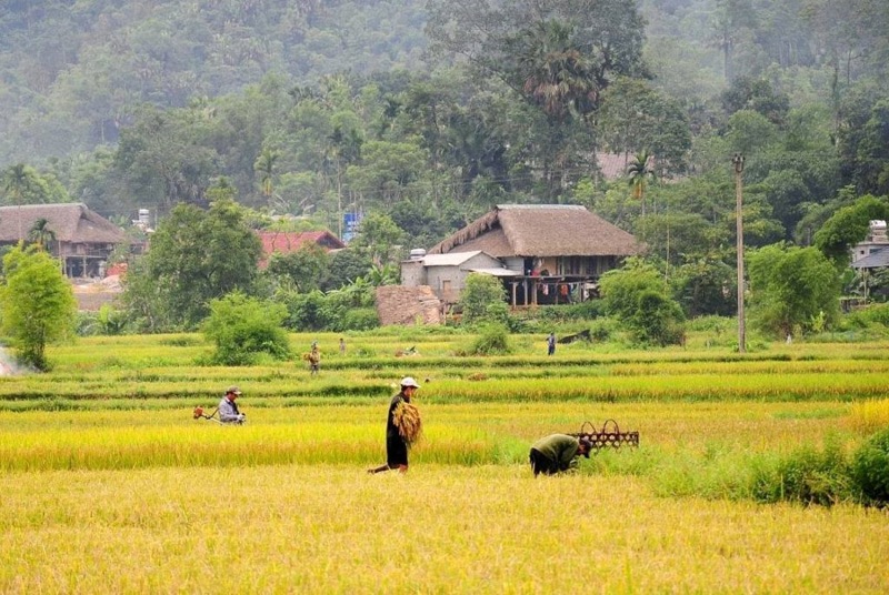 cum homestay o ha giang nhan giai thuong du lich asean hinh 1