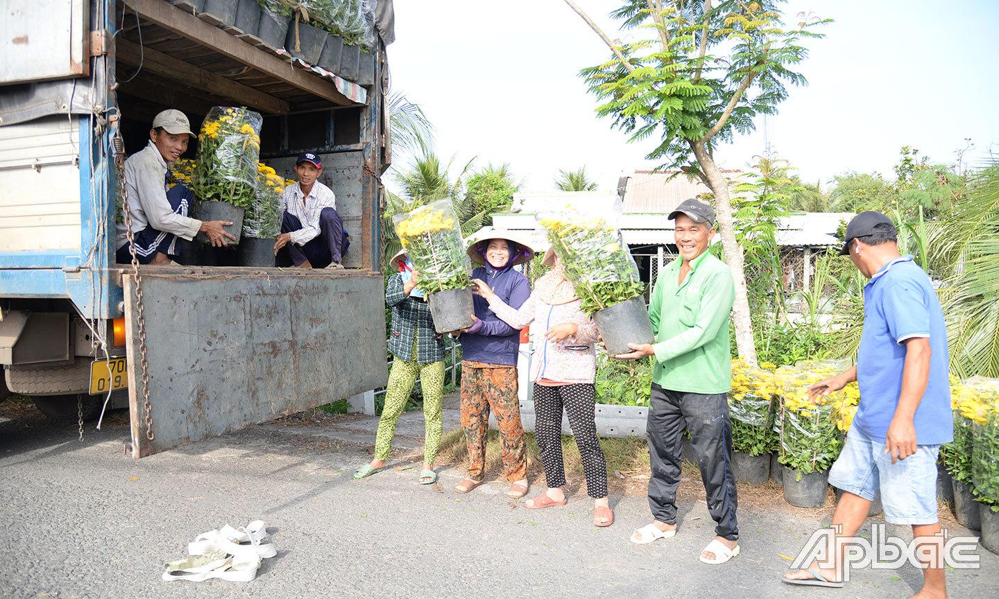 Thương lái đến thu mua hoa tết của gia đình ông Điệp (ở ấp Mỹ Hòa, xã Mỹ Phong, TP. Mỹ Tho) để chở đến tỉnh Tây Ninh tiêu thụ. Ảnh: Anh Thư