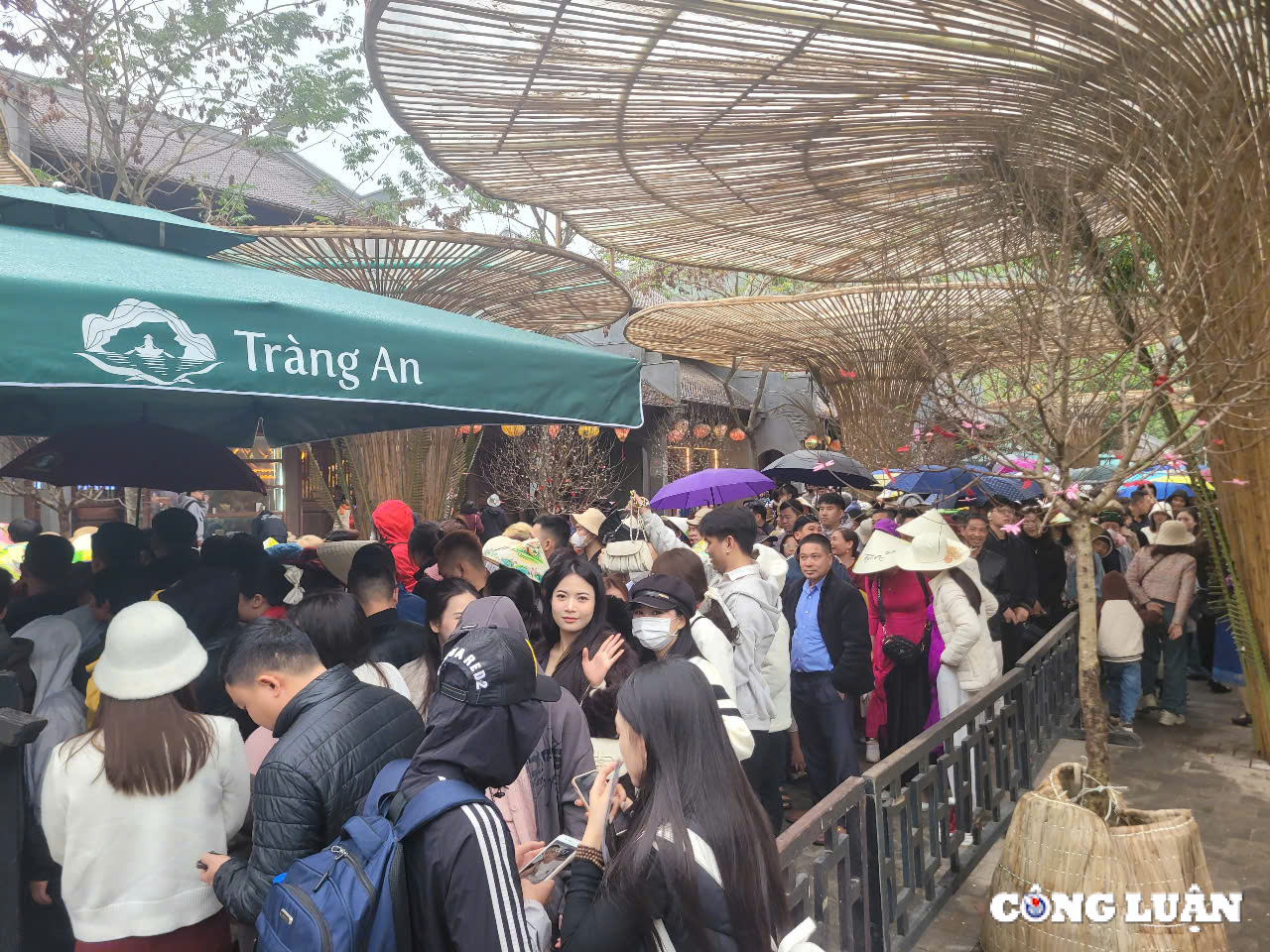 ninh binh doanh thu du lich uoc dat gan 1000 ty dong trong 9 ngay nghi tet hinh 1