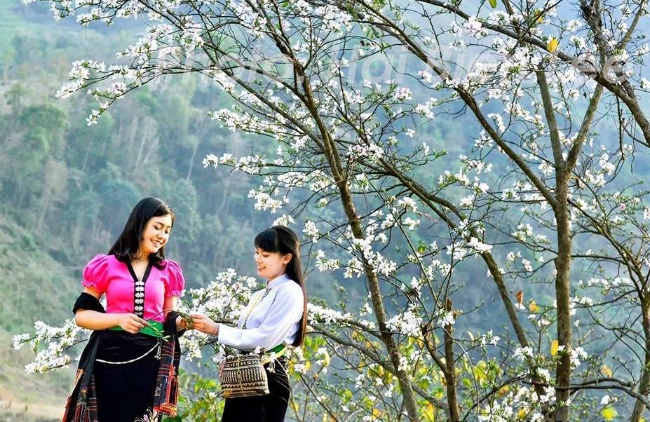 du khach un un ve cao nguyen bac ha xem nhay lua du xuan hinh 3