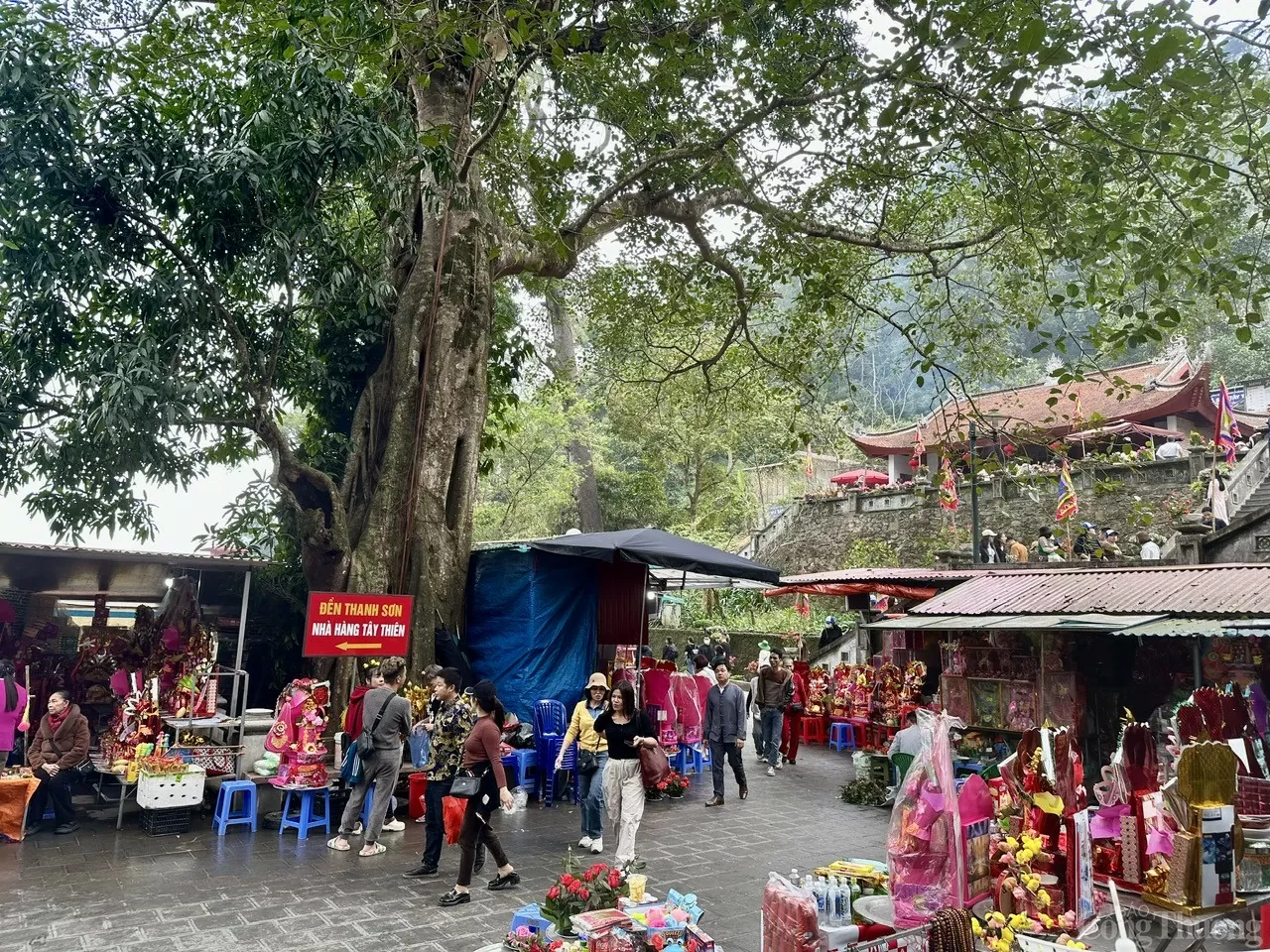 Vĩnh Phúc: Du khách nô nức trẩy hội Tây Thiên Vĩnh Phúc: Du khách nô nức trẩy hội Tây Thiên