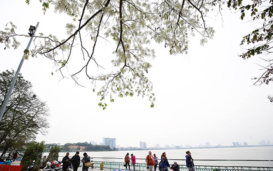 5 dia diem check in hoa sua dep nao long giua ha noi hinh 6