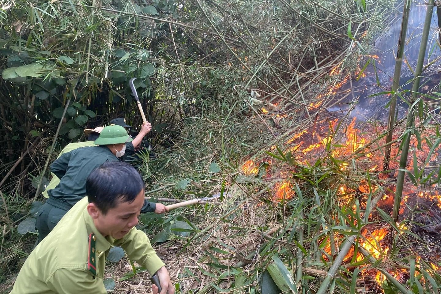 thu tuong yeu cau khac phuc nhanh hau qua vu chay rung tai xa hoang khai tinh tuyen quang hinh 1