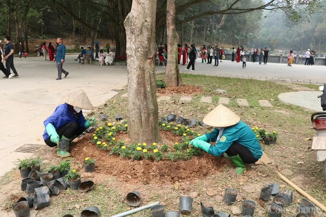 Đền Hùng thay đổi thế nào trước ngày Giỗ tổ Hùng Vương? Cảnh quan Đền Hùng trước ngày Giỗ Tổ Hùng Vương