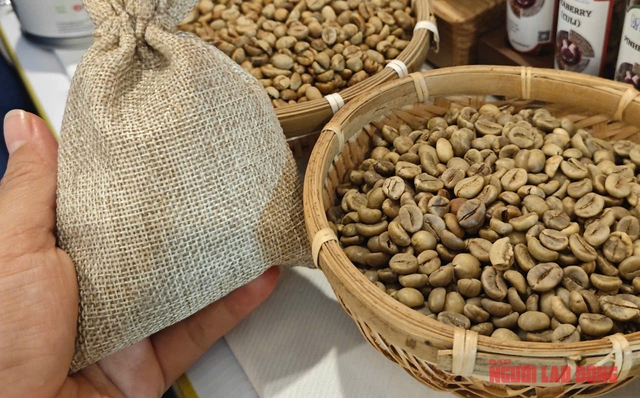 Giá cà phê hôm nay 25-3: Diễn biến trái chiều- Ảnh 1.