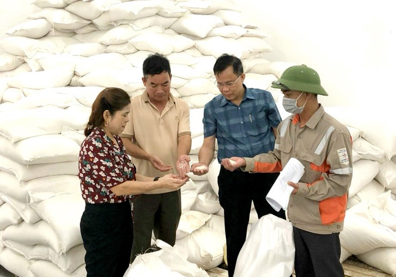 Xuất cấp không thu tiền 1.234,395 tấn gạo từ nguồn dự trữ quốc gia nhập kho năm 2024.