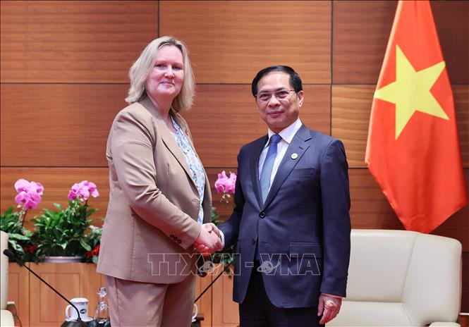 Phó Thủ tướng, Bộ trưởng Ngoại giao Bùi Thanh Sơn tiếp Quốc vụ khanh Bộ Ngoại giao Đan Mạch Lina Hansen. Ảnh: TTXVN.