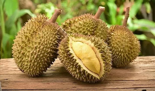 Sầu riêng Ri6 tại nhiều nhà vườn giảm chỉ còn phân nửa so với cùng kỳ năm ngoái Sầu riêng Ri6 tại nhiều nhà vườn giảm chỉ còn phân nửa so với cùng kỳ năm ngoái