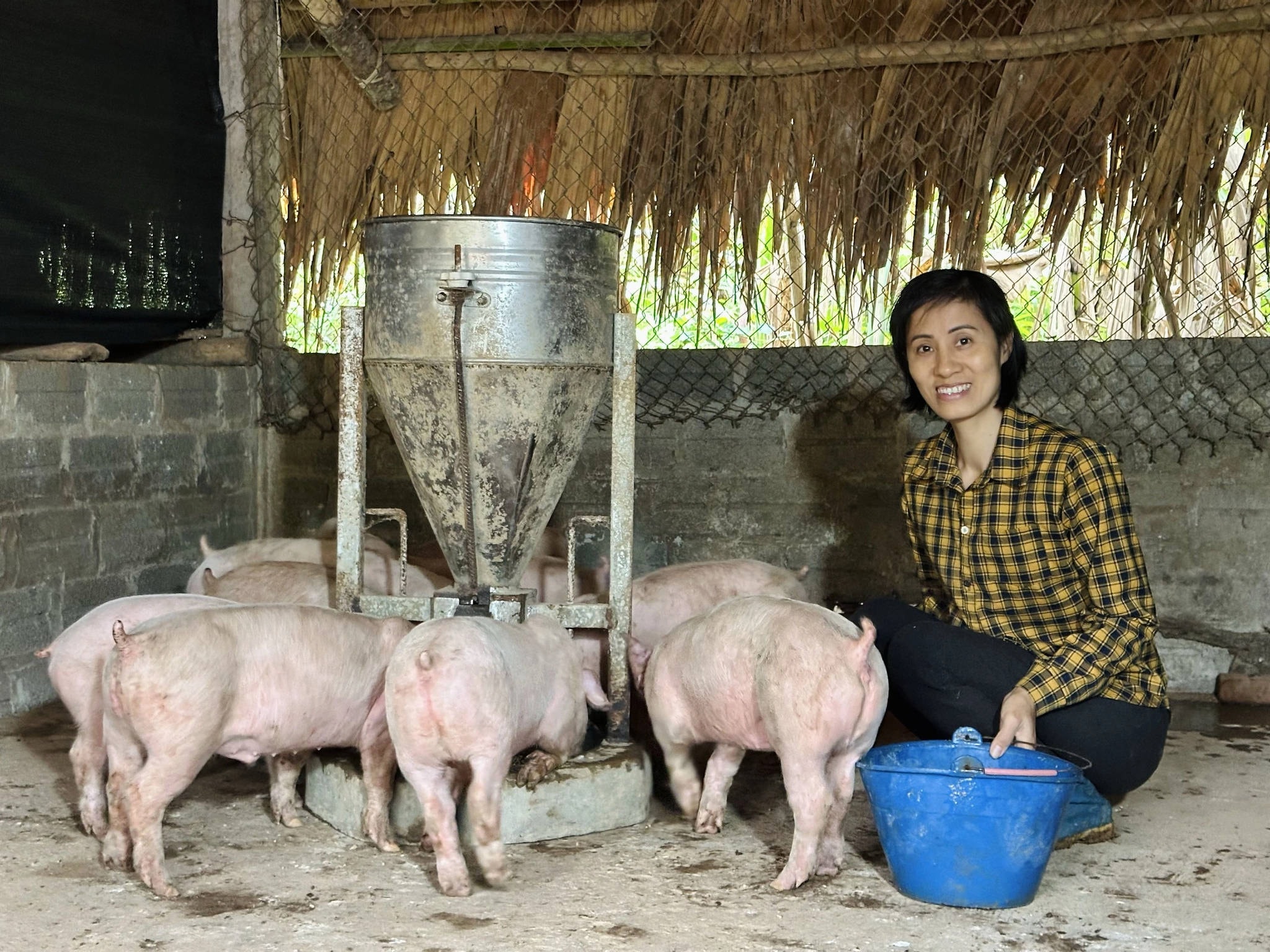 Chương trình _Ước mơ xanh_ trao tặng mô hình chăn nuôi cho chị Nguyễn Thị Tư - Thái Nguyên