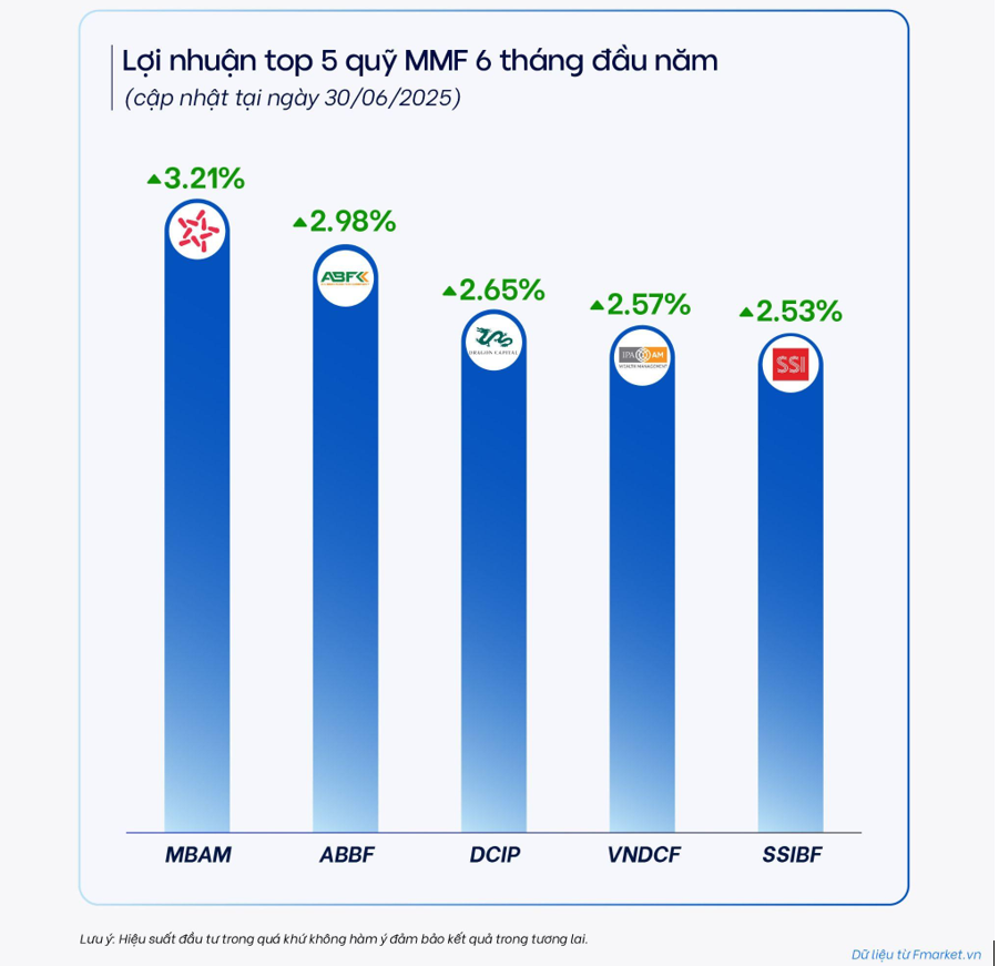 Các quỹ mở đạt lợi nhuận ra sao trong 6 tháng đầu năm 2025 - Ảnh 3