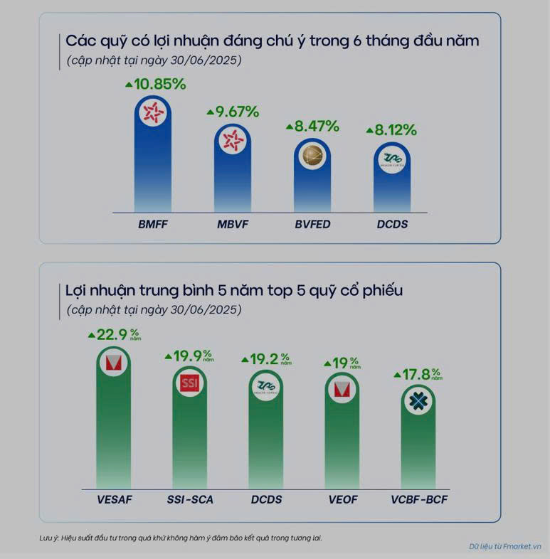 Các quỹ mở đạt lợi nhuận ra sao trong 6 tháng đầu năm 2025 - Ảnh 1