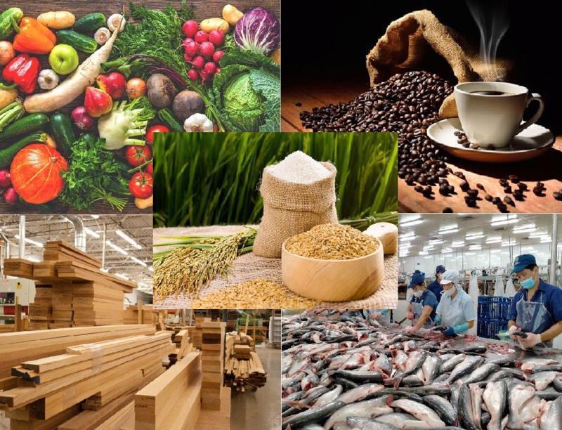 Kim ngạch xuất khẩu nông, lâm, thủy sản sang EU tăng từ 3,76 tỷ USD năm 2019 lên 5,437 tỷ USD năm 2024, tương đương mức tăng 42,95%. Ảnh: Thái Trang