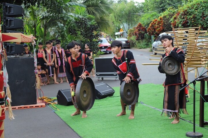 Du lịch canh nông là giải pháp tiêu thụ nông sản hiệu quả