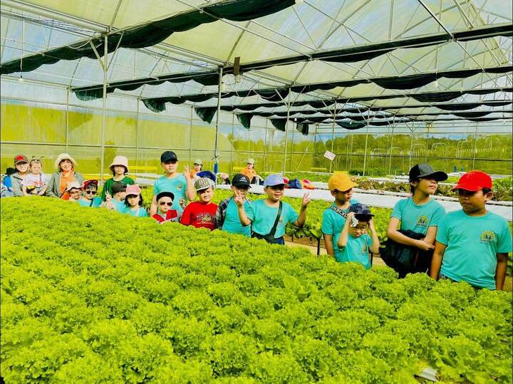 BB Farm - Trang trại dâu tây và rau thuỷ canh tại xã Phú Hòa 1 thu hút đông du khách