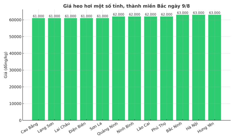 Biểu đồ giá heo hơi một số tỉnh miền Bắc ngày 9/8