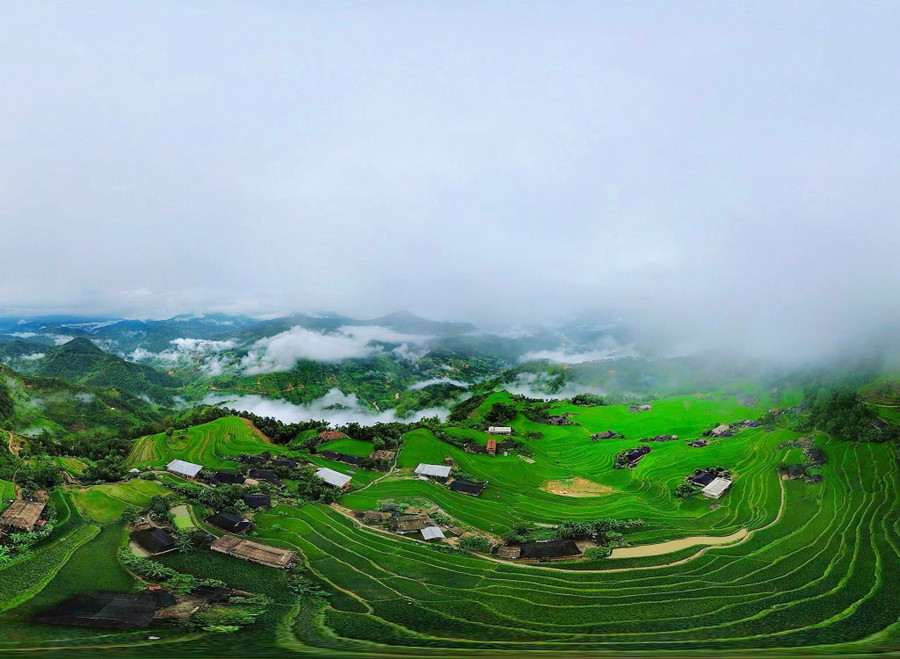 Cảnh đẹp ấn tượng mùa lúa xanh ở Bản Phùng. (Ảnh: Định Đặng).