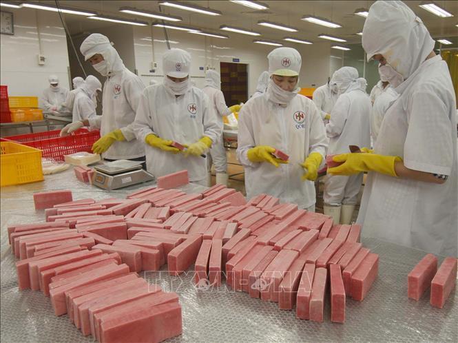 Viet Nam International Sourcing 2025 sẽ là nơi kết nối các Hiệp hội và doanh nghiệp Hoa Kỳ với các doanh nghiệp lớn của Việt Nam thúc đẩy các hoạt động thương mại, xuất nhập khẩu và đầu tư. Ảnh TTXVN