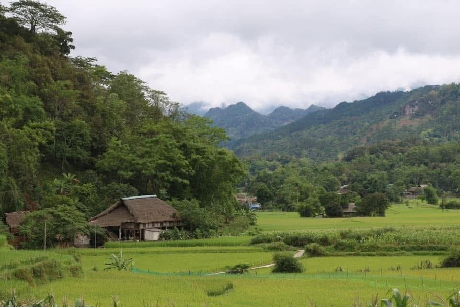 Địa hình nơi đây khá bằng phẳng bên những đồi cây xanh ngát. 1000040297.jpg