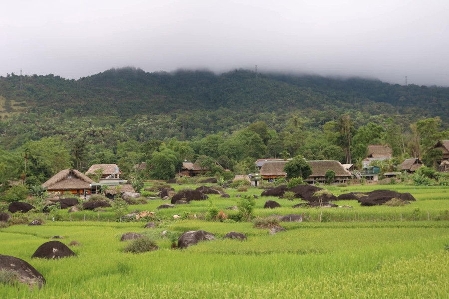 Xen kẽ là những tảng đá cuội nguyên sơ. 1000040299.jpg