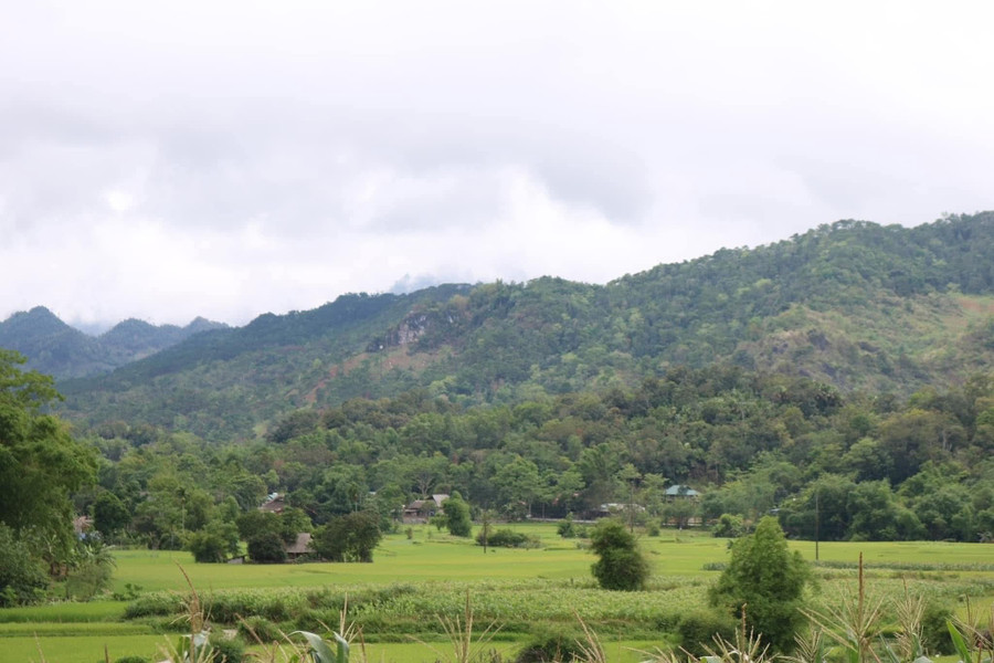 Vẻ đẹp yên ả của vùng đất giàu văn hóa. 1000040298.jpg