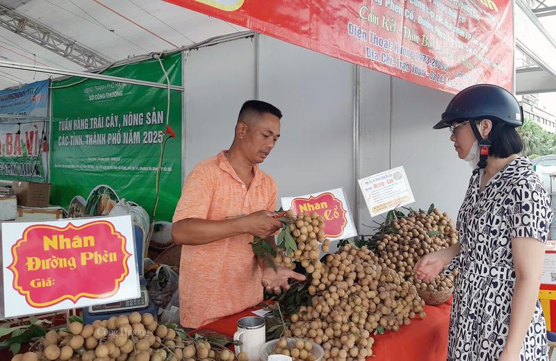 Ông Trần Văn Hương, chủ nhà vườn Hương Lan giới thiệu sản phẩm nhãn lồng Hưng Yên đến người tiêu dùng Hà Nội. Ảnh: Nguyễn Hạnh