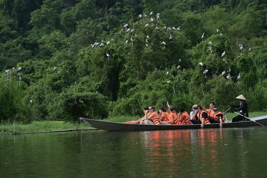 thung-nham-noi-bao-ton-nhieu-loai-chim-quy-6.jpg