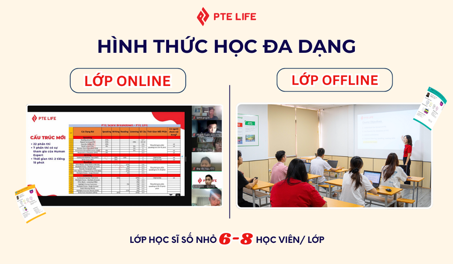 hinh-thuc-hoc-da-dang.png