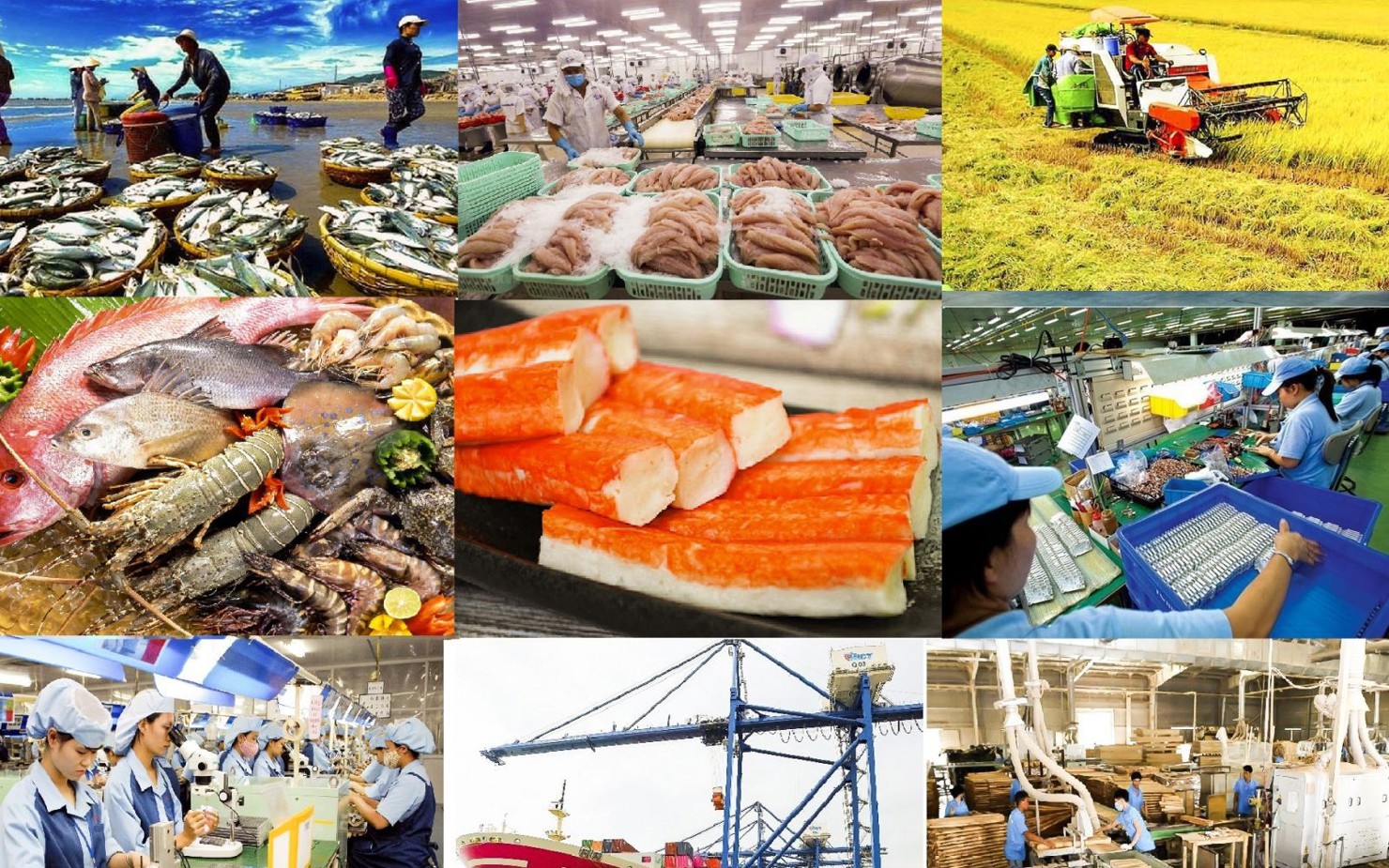 Thủ tướng yêu cầu đẩy mạnh các giải pháp trọng tâm thúc đẩy xuất khẩu, phát triển thị trường ngoài nước.