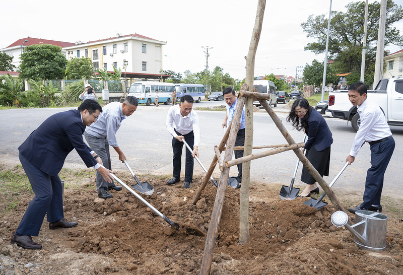 Những cây sao đen và giáng hương được trao tặng và trồng tại phường Phúc Yên và Xuân Hòa, tỉnh Phú Thọ. Ảnh: Minh Thành.