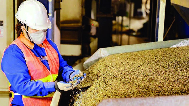 Chỉ 9 tháng năm 2025, Việt Nam xuất khẩu cà phê đạt gần 7 tỷ USD, sầu riêng 2,6 tỷ USD, hồ tiêu đạt 1,2 tỷ USD.