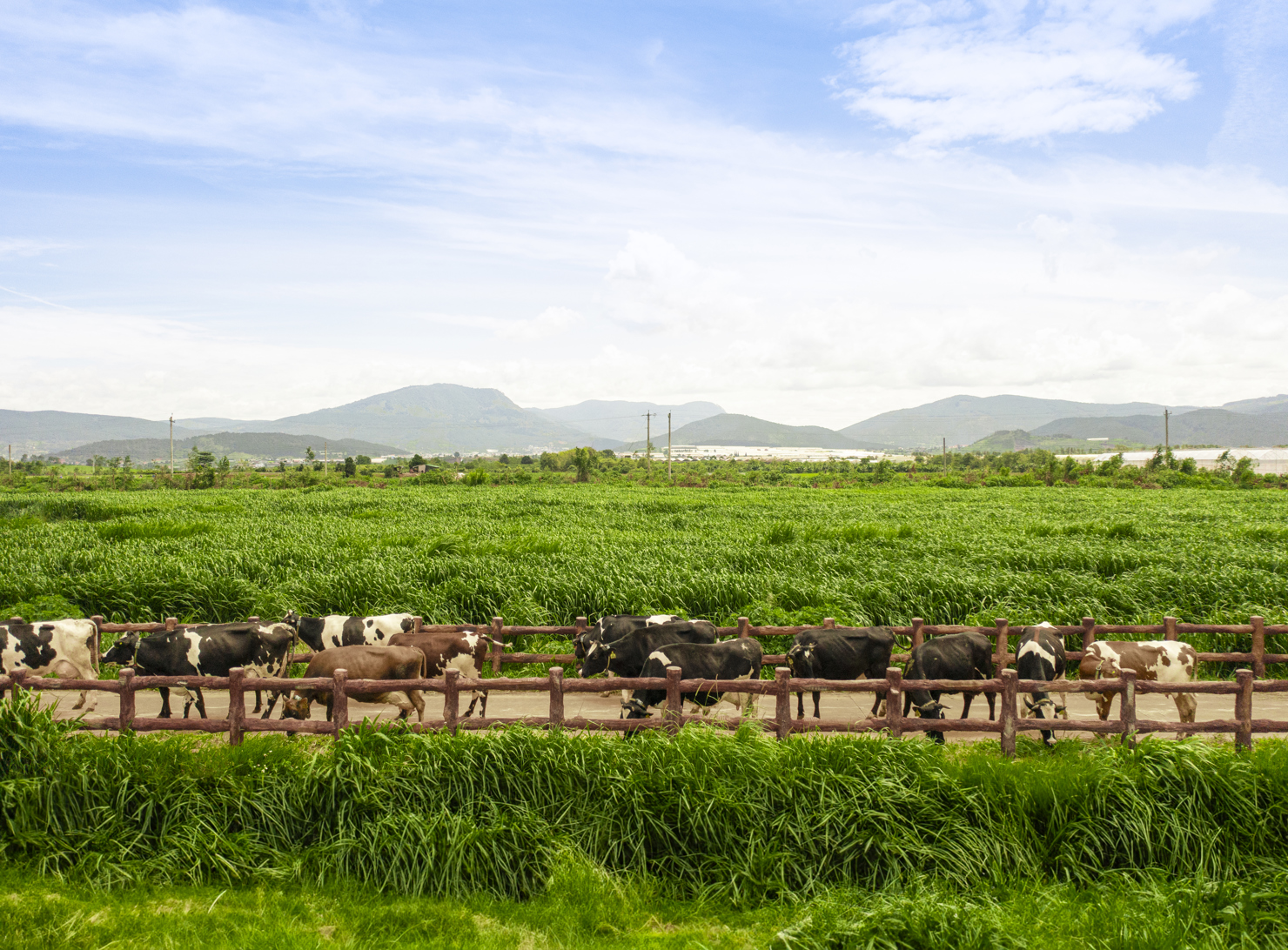 Doanh nghiệp Việt Nam luôn chú trọng sản xuất gắn với bảo vệ môi trường