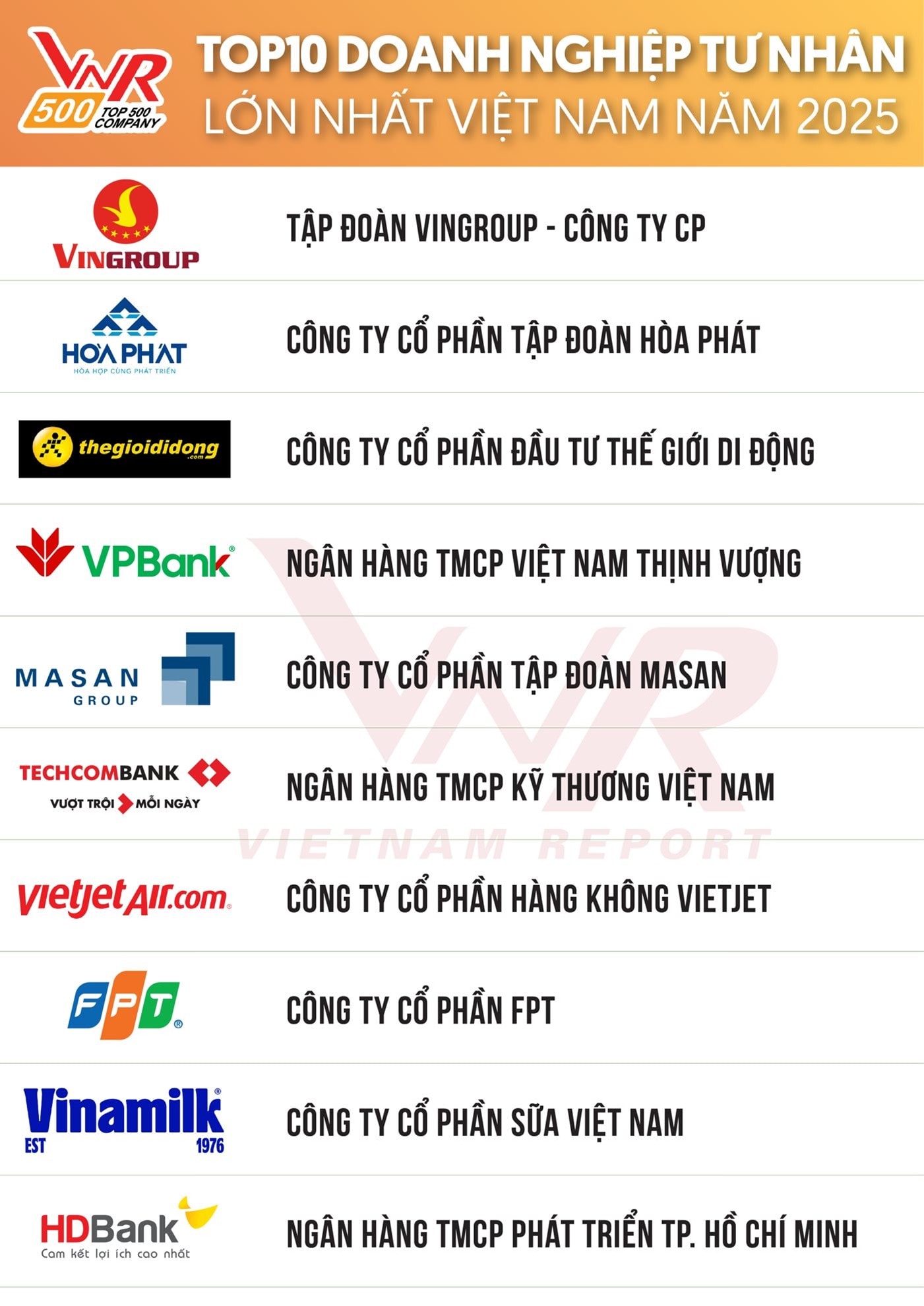 Top 10 DN tư nhân lớn nhất 2025