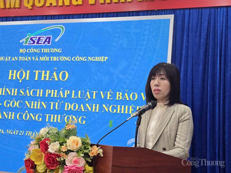 Phó Cục trưởng Cục Kỹ thuật An toàn và Môi trườg Công nghiệp Đỗ Phương Dung phát biểu khai mạc hội thảo