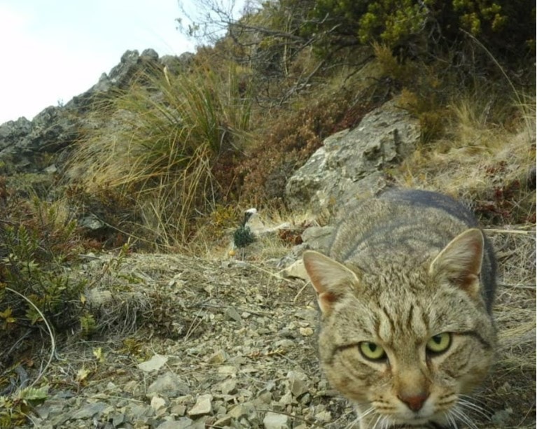 Screenshot 2025-11-24 232508