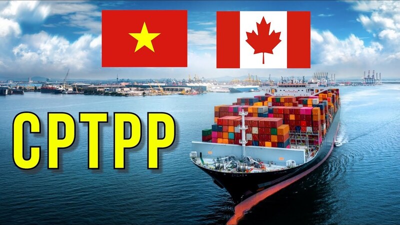 Thương mại Việt Nam - Canada có xu hướng tăng trưởng tốt nhờ lực đẩy của CPTPP.