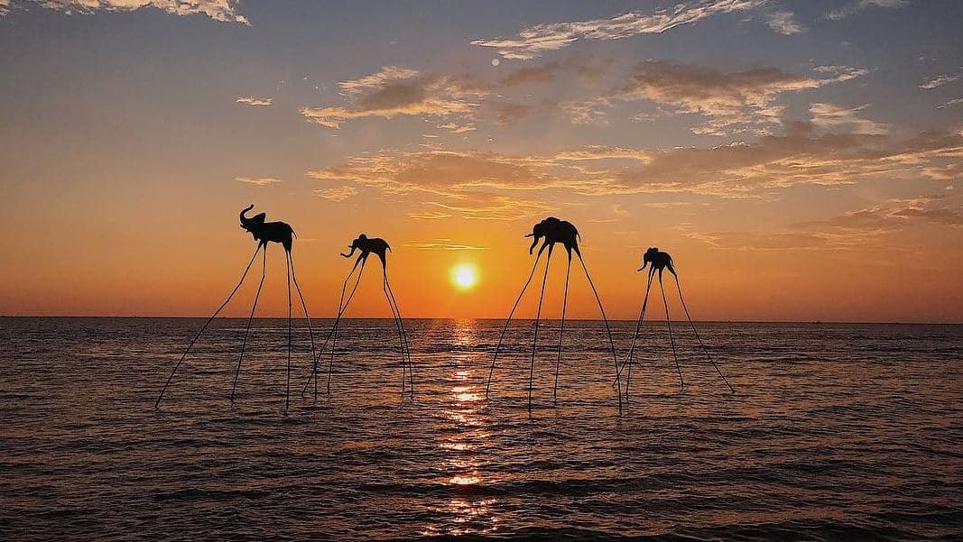 Hoàng hôn tại Bãi Trường